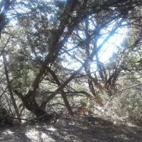 Covenant Canyon RV Park ico