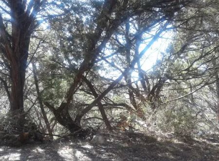 Covenant Canyon RV Park