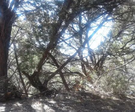 Covenant Canyon RV Park