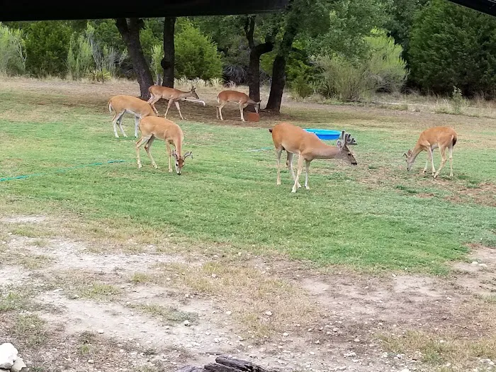 Pace Bend RV Park Picture 8