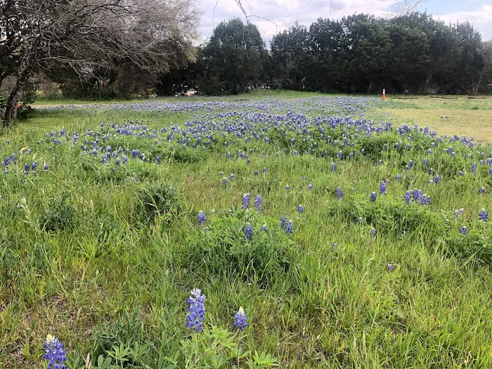 Hill Country Lakes RV Campground Picture 8
