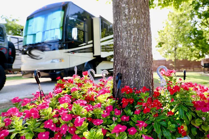 Austin RV Park Picture 7