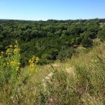 Big Oaks RV Park