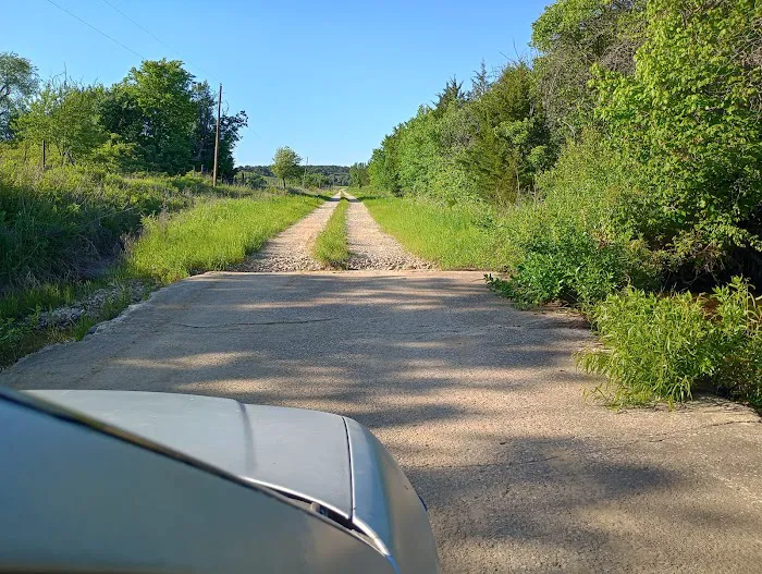 Skull Creek North Campground Picture 2