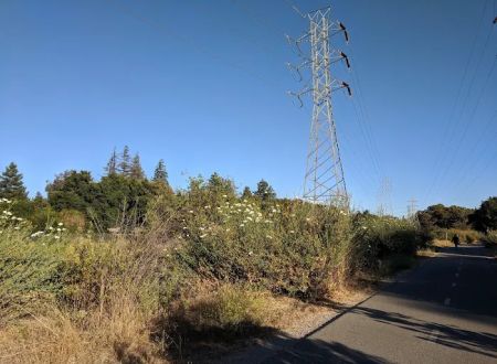 Sahara Mobile Village