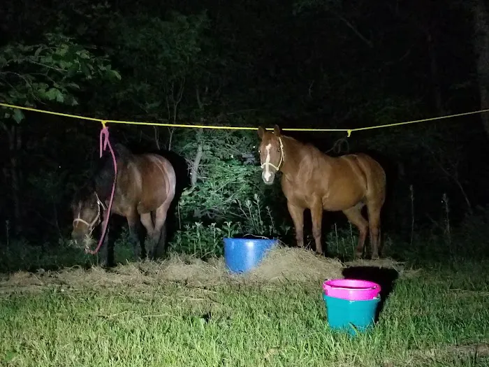 Green Country Cowboy Camp Meeting Picture 2