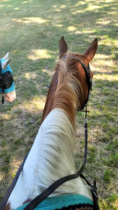 Green Country Cowboy Camp Meeting Picture 3