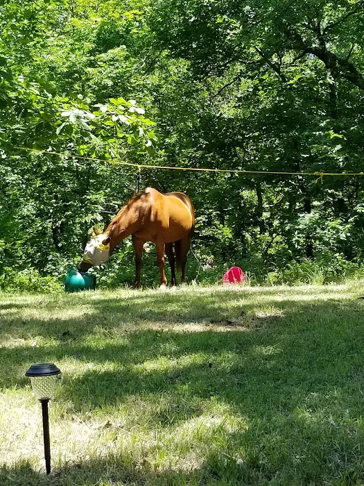 Green Country Cowboy Camp Meeting Picture 5