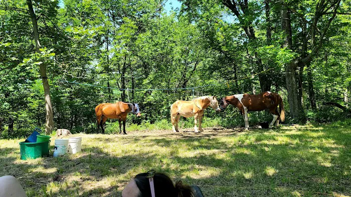 Green Country Cowboy Camp Meeting Picture 4