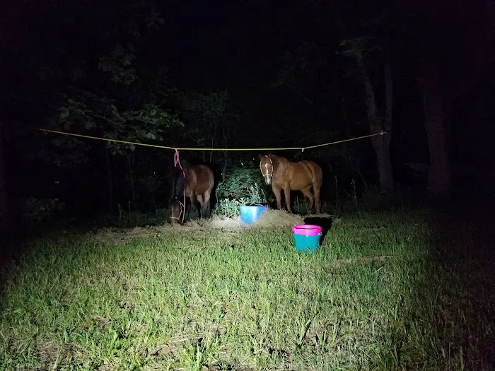 Green Country Cowboy Camp Meeting Picture 8