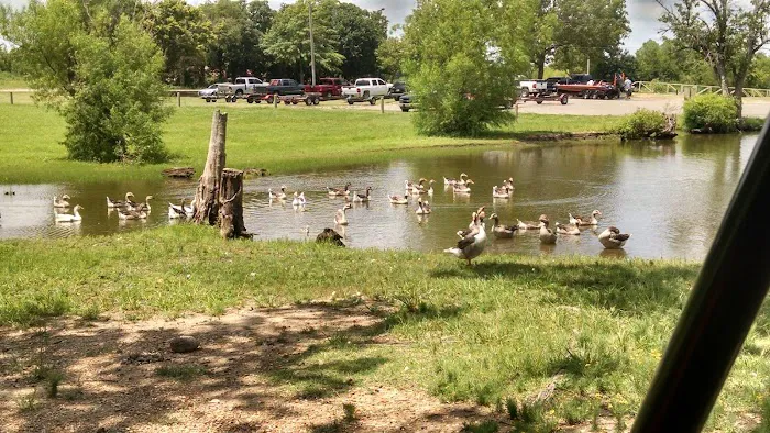 Snowdale Park Picture 6