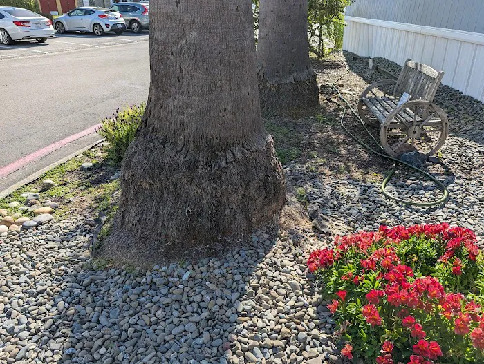 El Dorado Mobile Home Park Picture 7