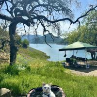 Trimmer Campground ico