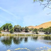 Niles Canyon Mobile Estates ico