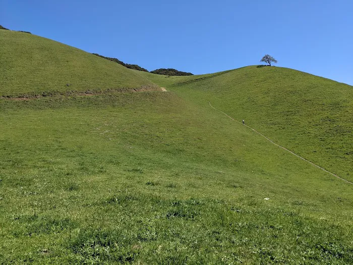 Niles Canyon Mobile Estates Picture 5