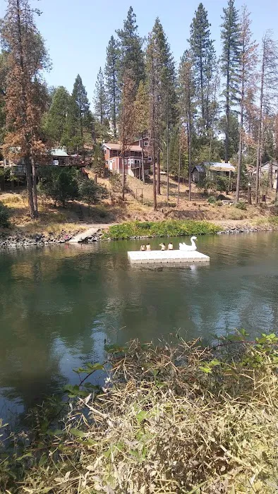 Kirch Flat Campground Picture 6