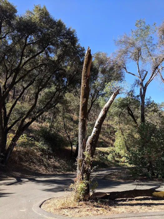 Kirch Flat Campground Picture 7