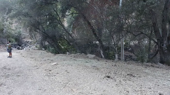 Camp 4 Campground Picture 4