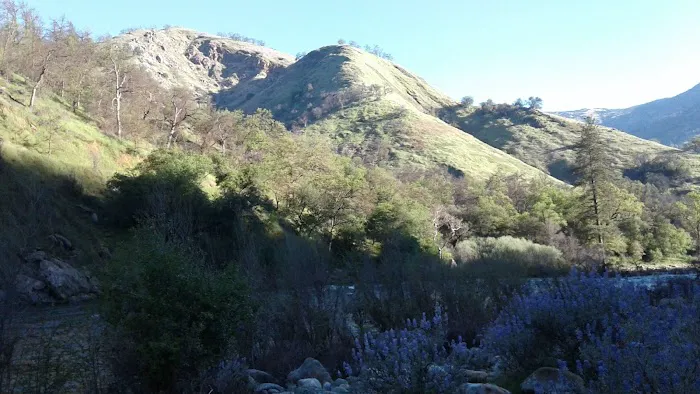 Green Cabin Flat Campground Picture 3