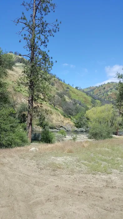 Green Cabin Flat Campground Picture 8