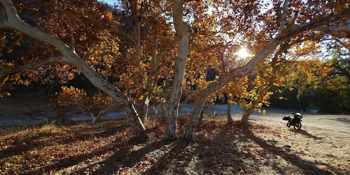 Green Cabin Flat Campground Picture 9