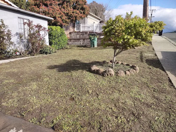 American Canyon Mobile Home Park Picture 2