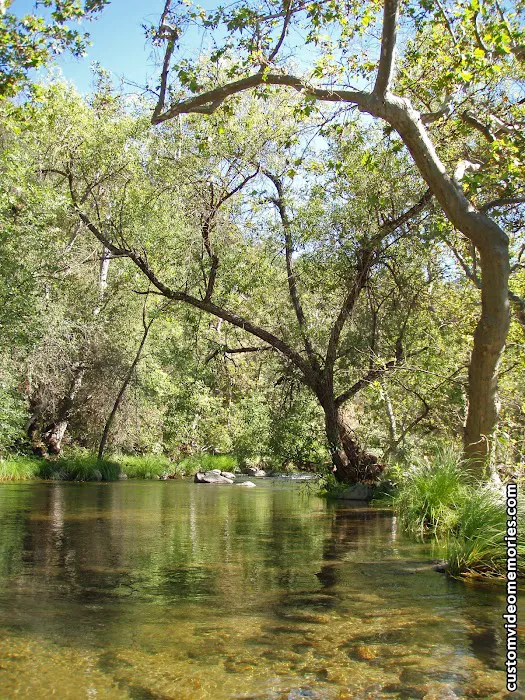 Mill Flat Campground Picture 6
