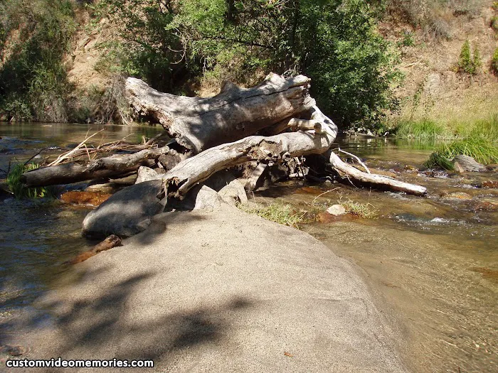 Mill Flat Campground Picture 7