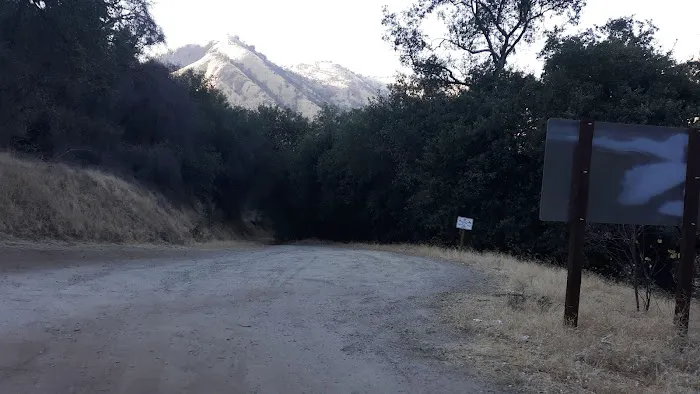 Mill Flat Campground Picture 8