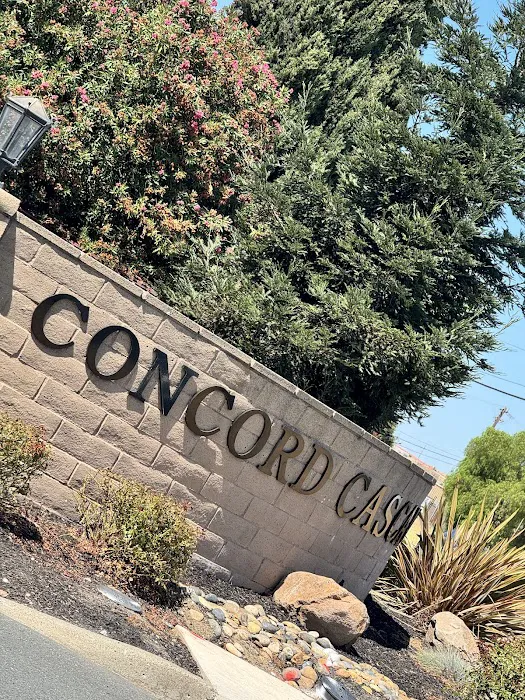Concord Cascade Picture 7