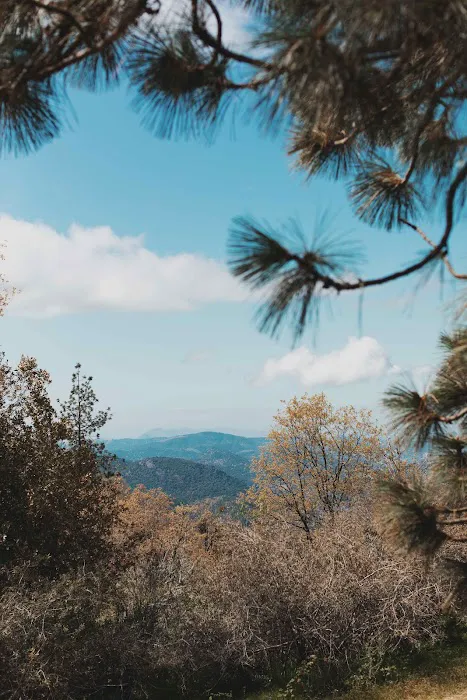 Sequoia Highland Camp Picture 6