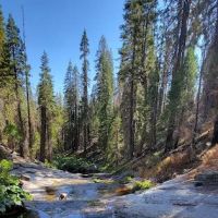 Gaggs Camp Campground ico