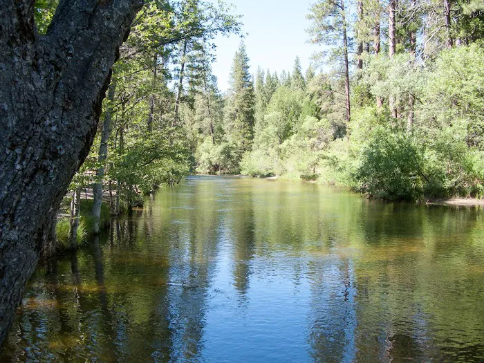 Mammoth Pool Campground Picture 2