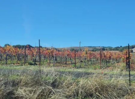 Seven Flags of Sonoma Mobile