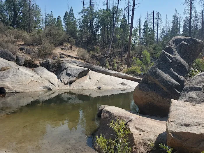 Wagner's Campground Picture 1