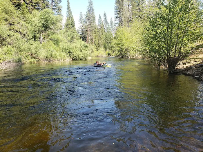 Wagner's Campground Picture 3