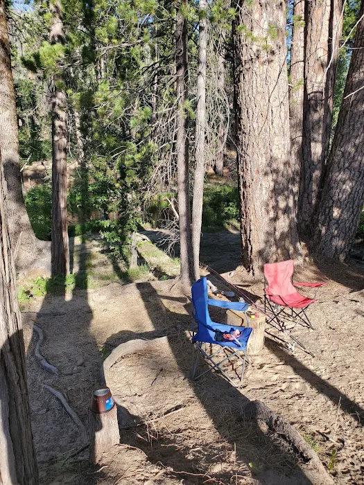 Wagner's Campground Picture 4
