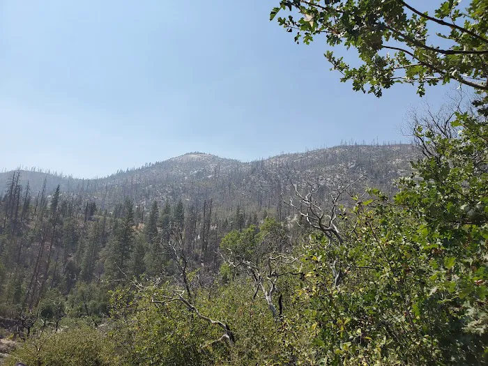 Wagner's Campground Picture 7