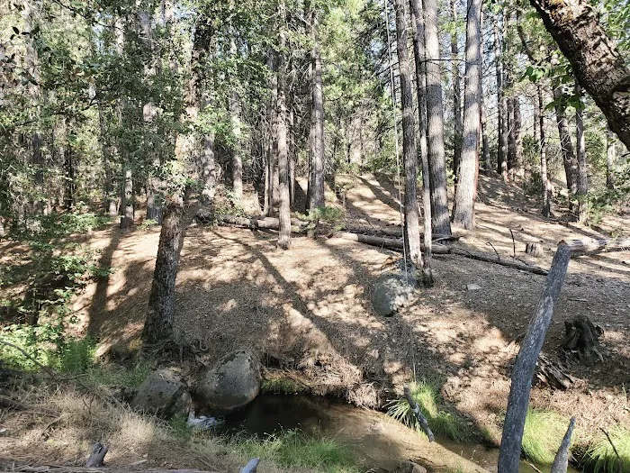 Sweetwater Campground Picture 6