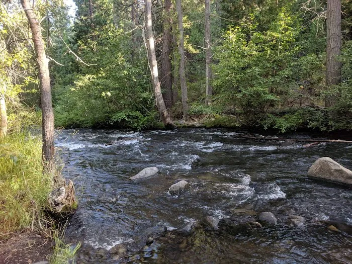 Chilkoot Campground Picture 3