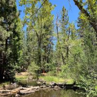 Chilkoot Campground ico