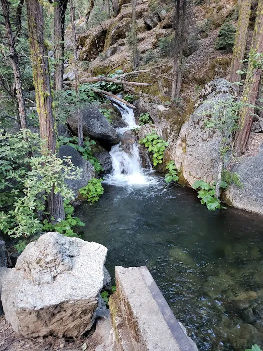 Chilkoot Campground Picture 6