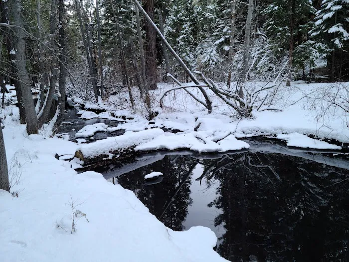 Chilkoot Campground Picture 8