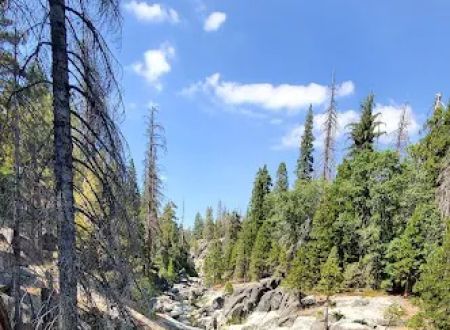 Lower Dinkey Creek Campground