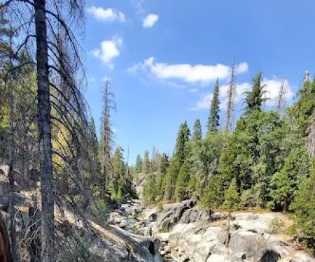 Lower Dinkey Creek Campground