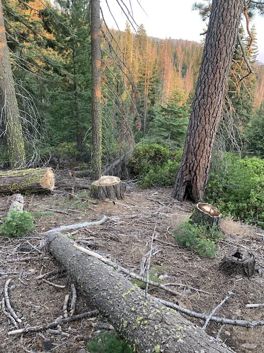 Lower Dinkey Creek Campground Picture 2