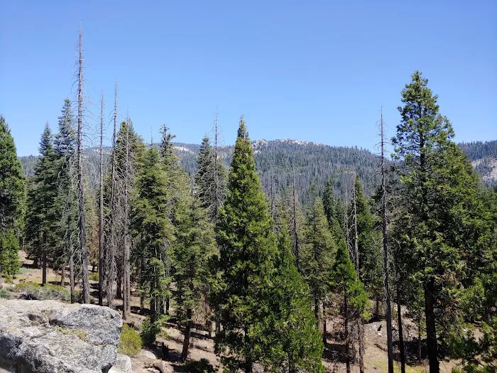 Lower Dinkey Creek Campground Picture 4