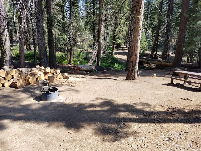 Lower Dinkey Creek Campground Picture 7