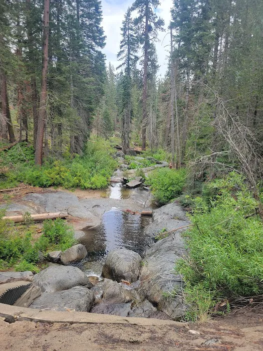 Dinkey Creek Campground Picture 4