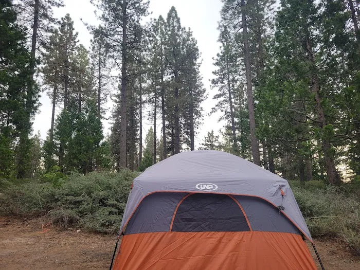 Dinkey Creek Campground Picture 10